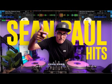 Sean Paul Mix Just Hits Get Busy Temperature Make It Clap Punkie By DJ NACH
