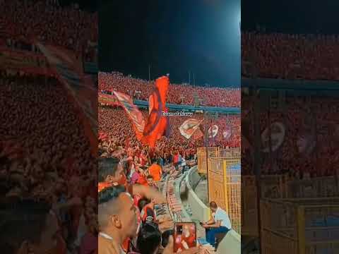 دايما معاه روحنا فداه في ايه مكان بنروح وراه من التالته شمال بنهزر جبال وباعالي صوت بنشجع الابطال