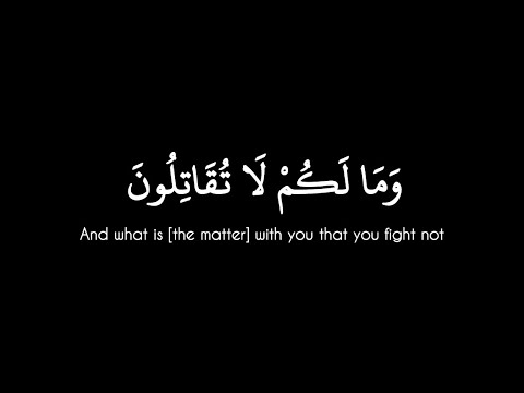ومالكم لا تقاتلون في سبيل الله سورة النساء محمد اللحيدان شاشة سوداء