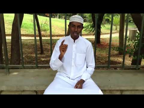 Ammar Sheek Amiin Ibroo Dullatti Ajaa Iba Ammar Sheek Amiin Ibroo Dullatti Ajaa Iba