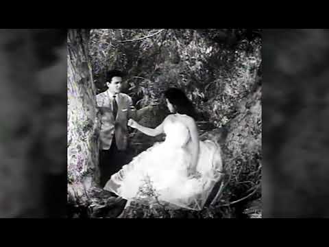 Original Zalamo عبد الحليم حافظ ظلموه