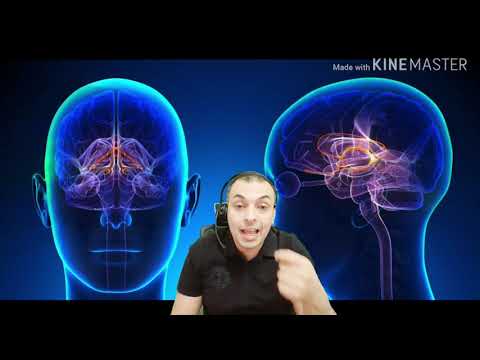 آلية تكون المشاعر في الجسم هل سألت نفسك كيف تتولد المشاعر بداخلنا و كيف نشعر بها آلية تكون المشاعر في الجسم هل سألت نفسك كيف تتولد المشاعر بداخلنا و كيف نشعر بها