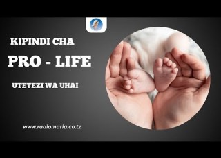 LIVE KIPINDI CHA PRO LIFE STUDIO