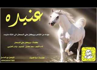 شيلة عنيده اداء سعد محسن 2021 حصريا