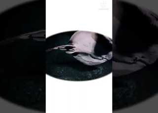  عابد الباسط عبد الصمد