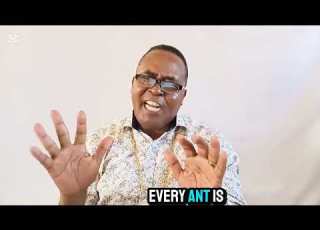 The Tired But Not Retired Pastor The Ant Secret