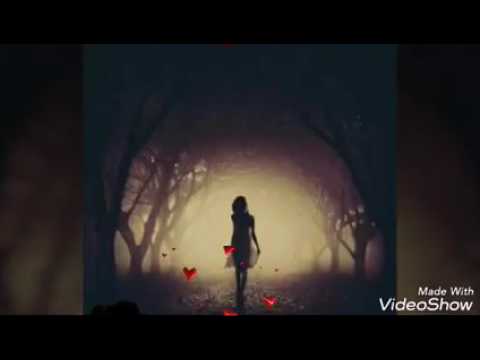 شيرين هاني شاكر أنا قلبي ليك