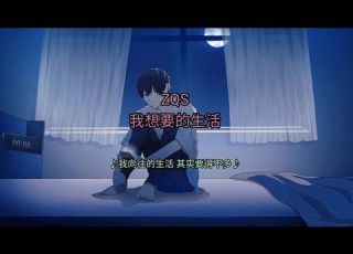 ZQS 我想要的生活 我向往的生活 其实要得不多 動態歌詞 Lyrics