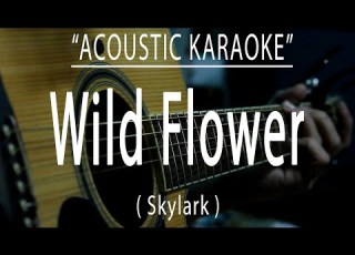  Wild Flower Skylark Acoustic Karaoke