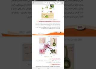  التكاثر في النباتات الزهريه