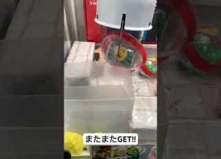  確率機攻略してみた クレゲ 確率機 クレーンゲーム カリーノ バンビーノ