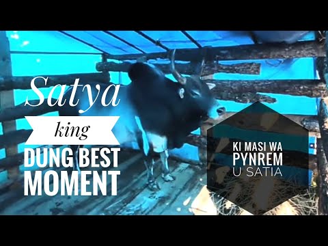 Sur Jop U Satya King Dung Best Moment Satya Song