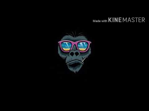 حالات واتس قولولي تاخدو كام باكو وتسلكوا من جواكوا السويسي