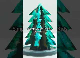 Crystal Christmas Tree DIY Science Experiment Kiwico Scienceexperiment Diy