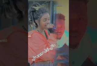 مافي زول مجبور علي زول