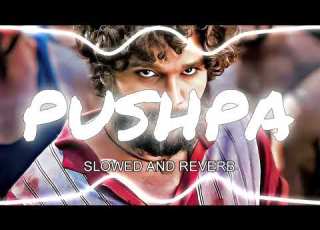 PUSHPA SLOWED AND REVERB Subodh Su2