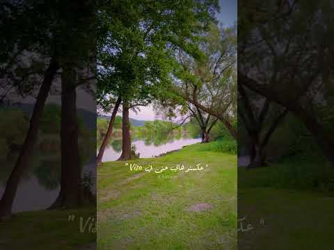 Cheb Hasni Nchof L3ziza Remix Chebbilal Chebhasni Fyp