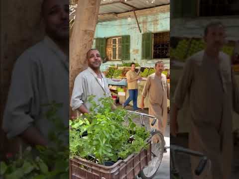 أنا مصمم مش بصوت ابو عزيزة اجمل صوت