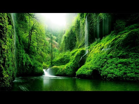 Beautiful Relaxing Music Stop Overthinking Stress Relief Music Sleep Music Calming Music