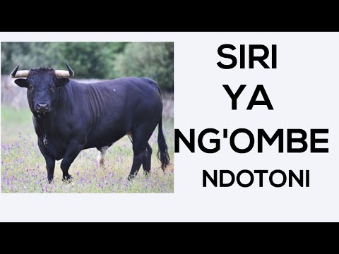 MAANA YA NDOTO INAYOUSIANA NA NGO MBE