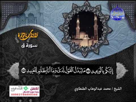 محمد عبدالوهاب الطنطاوى ـــ سورة ق