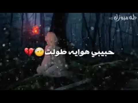 حالات واتس اب بل حلم شفتك رجعت بستني وبشوقي حضنت الوصف بس للغوالي