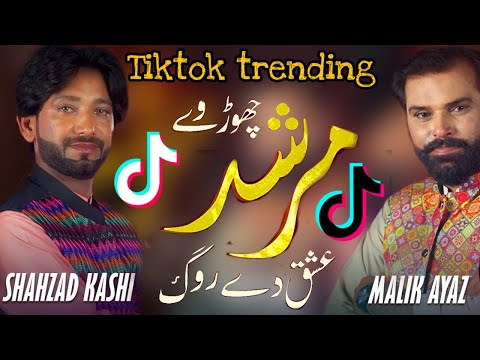 Chorr Wey Murshid Ishq De Rog Malik Ayaz Shahzad Kashi New Song 2024