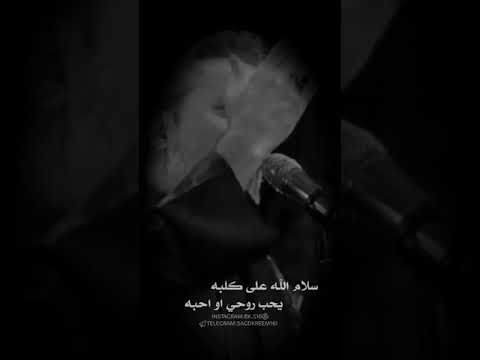 سلام الله على كلبة يحب روحي واحبه