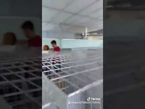 Chuồng Gà Lắp Ghép Kẽm 3li2