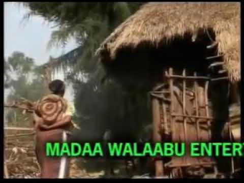 Sirbaa Hadhaa Heduu Namatii Toluu