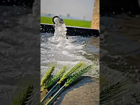 Naak Na Chedaiye Kade Bhi Desi Na Dakh K Music Lyrics Haryana Aale Aliye Re Naak Na Chedaiye Kade Bhi Desi Na Dakh K Music Lyrics Haryana Aale Aliye Re