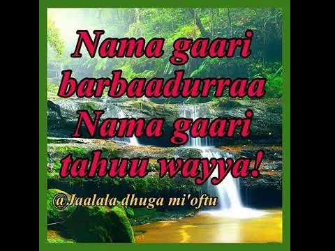 Sirba Baredaa Waan Ajahibaa