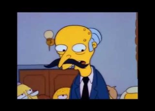 The Simpsons Mr Snrub