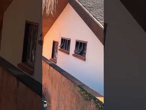 ALVA OUVINDO A VIZINHA SOFRER