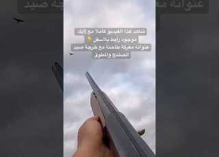 صيد حبة مطوق زرعي من الرف بلسهل و شاهد كل فديوهاتي الطويلة