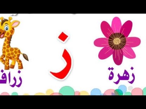 حرف الزاي تعليم الأطفال كتابة حرف الزاي مع الحركات نتعلم بسهولة