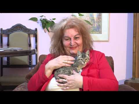 ANUSH VARDANYAN Hayic Hay 2019