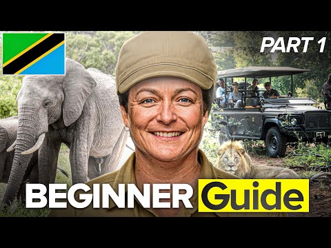Tanzania Safari 2026 The Ultimate Beginner S Blueprint
