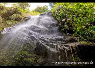 Volcanoes And Forests Of Mount Pelée And The Pitons Of Northern Martinique France