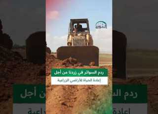 الثورة ترصد ردم السواتر في زردنا بريف إدلب بهدف إعادة الحياة للأراضي الزراعية