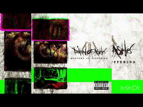 Dawn Of Ashes Viral Decay NEW SINGLE 2026