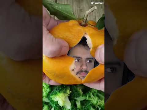 صوت صفير البلبل بدون موسيقى