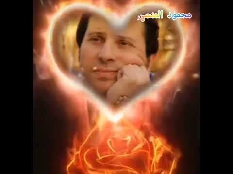 يا قلبي دبل زهرة الحب في طريقي هاني شاكر