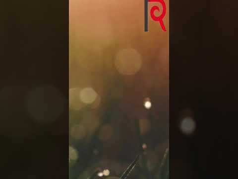 Rasuulatti Kaasuun Isaa Fattanee Nulaaluufi