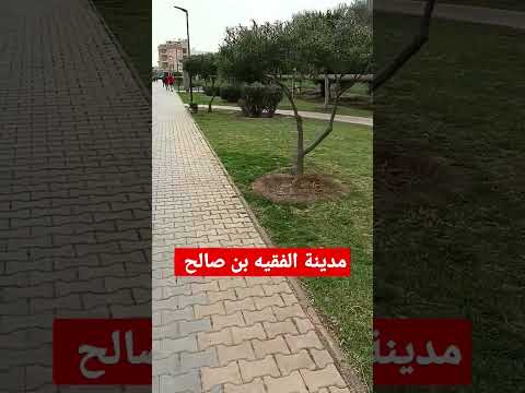 منتزه الفقيه بن صالح مناظر طبيعية جميلة الطبيعة ربيعة منتزه الفقيه بن صالح مناظر طبيعية جميلة الطبيعة ربيعة