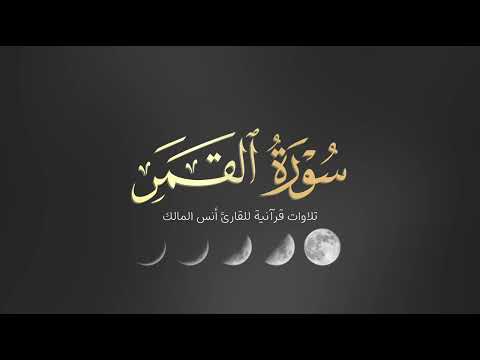 تلاوة سورة القمر للقارئ أنس بن صالح المالك من ليالي رمضان لعام ١٤٤٤ بجامع الرفيعة ببريدة