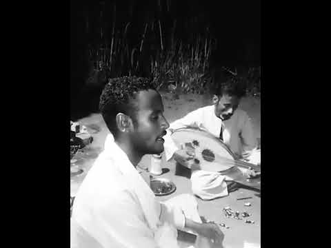 المتعدد ترند الموسم بيحكي عن حال الدهابة حمل نقلة حجار وشكاير اشترك في القناة وتابع معانا 2023