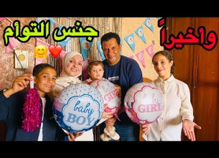 الكشف عن الجنين حفلة التوأم