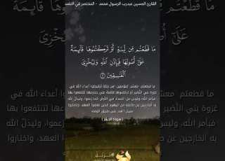 سورة الحشر بصوت القارئ اين عبدرب الرسول القرآن الكريم ابلور المصحف غزة النصر غزة بتفرح