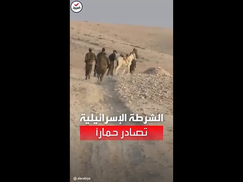 بحجة اقترابه من مواقع عسكرية الشرطة الإسرائيلية تعتقل حمارا بحجة اقترابه من مواقع عسكرية الشرطة الإسرائيلية تعتقل حمارا